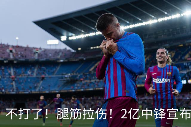 不打了！腿筋拉伤！2亿中锋宣布休战