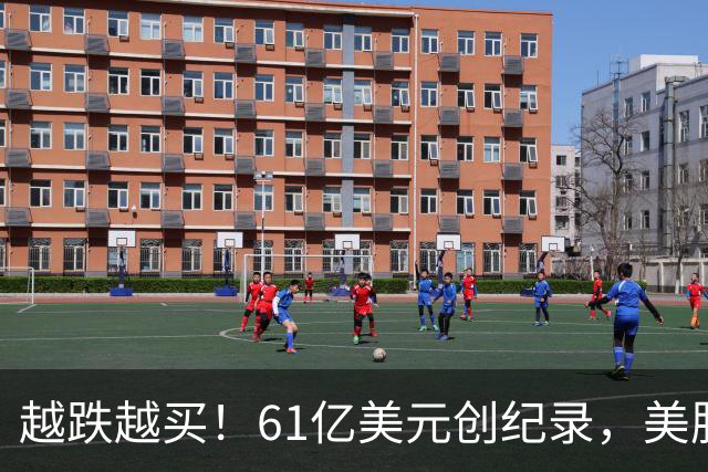越跌越买！61亿美元创纪录，美股半导体杠杆ETF单周“吸金”爆表